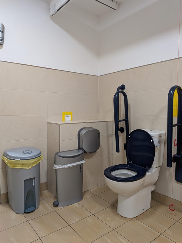 image of the toilet inside the Changing Places bathroom
