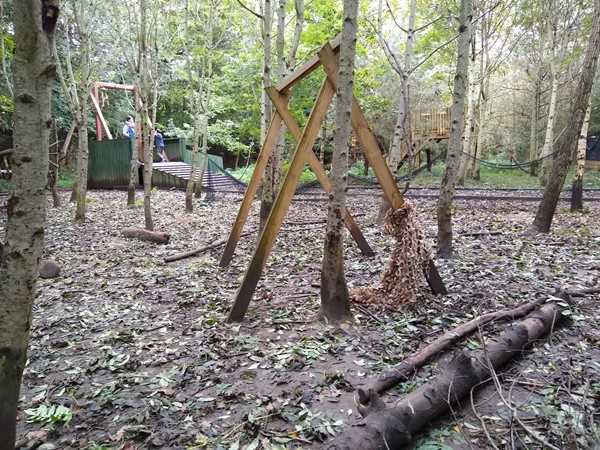 Zip wires and den building