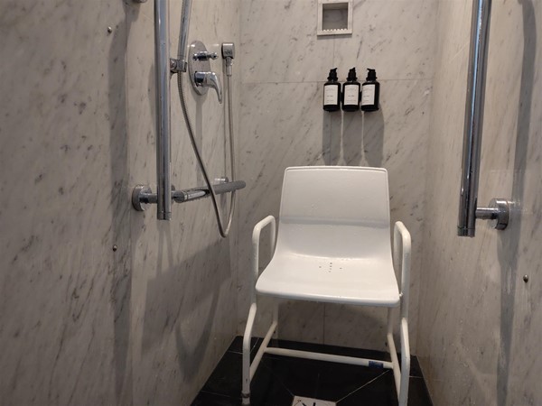 Shower area with bottles of soap, grab rail and lower level shower head.