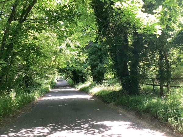 Picture of a road