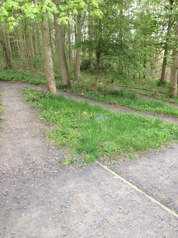 Picture of Wallington