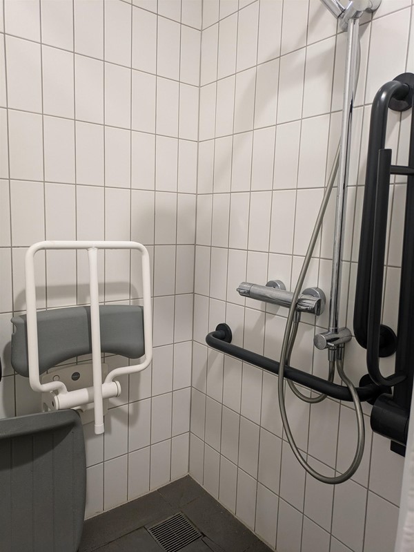 Image of shower in the accessible toilet