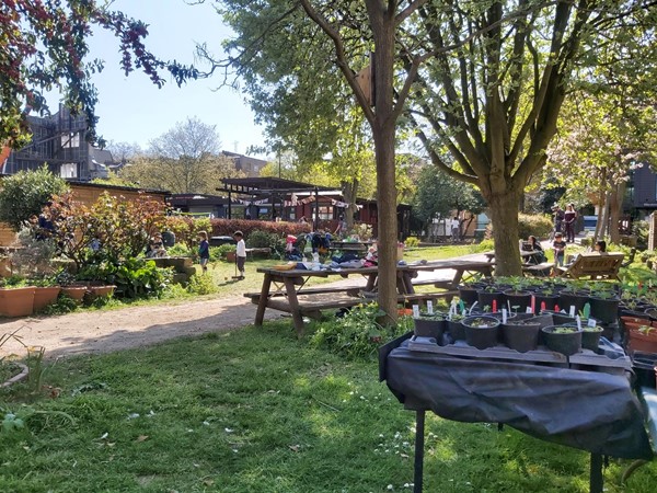 Picture of Calthorpe Community Garden