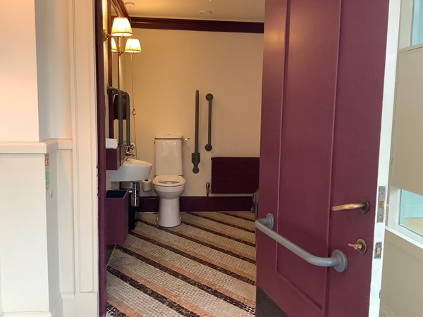 Picture of the accessible toilet, Cecconi’s, Bicester Village
