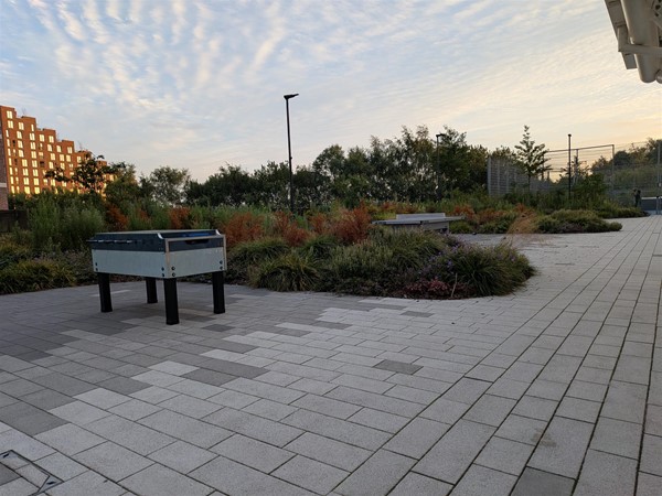 image of foosball table, path and plants
