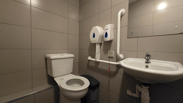 Image of a toilet and a sink
