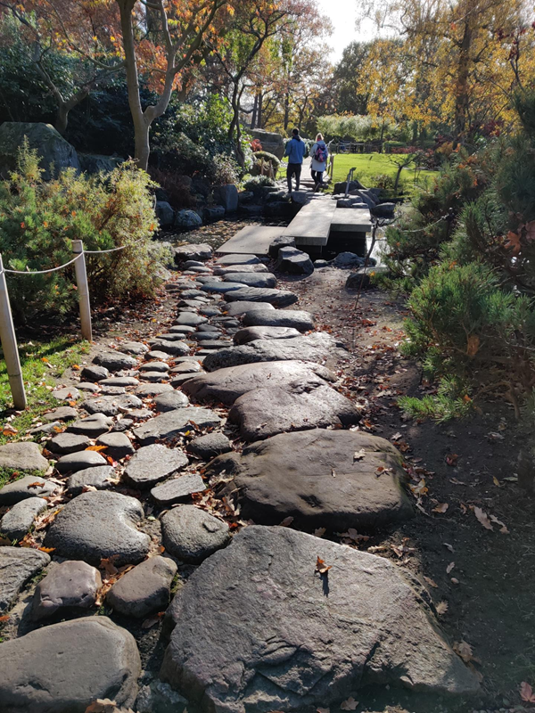 One of the two very rough boulder paths leading to the bridge over the lake in the beautiful Kyoto Garden.