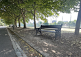 Image of shaded bench beneath trees