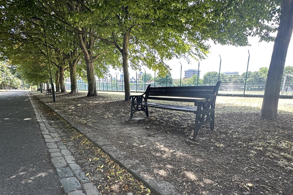 Image of shaded bench beneath trees