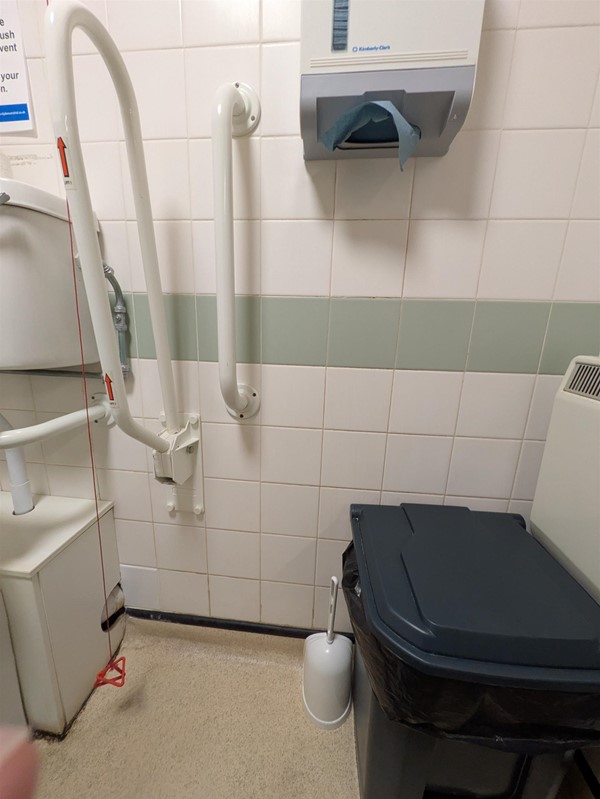 Image of bin in the transfer space of the accessible toilet