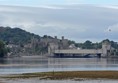 Even non wildlife fans can enjoy best view of Conwy Castle from the RSPB reserve