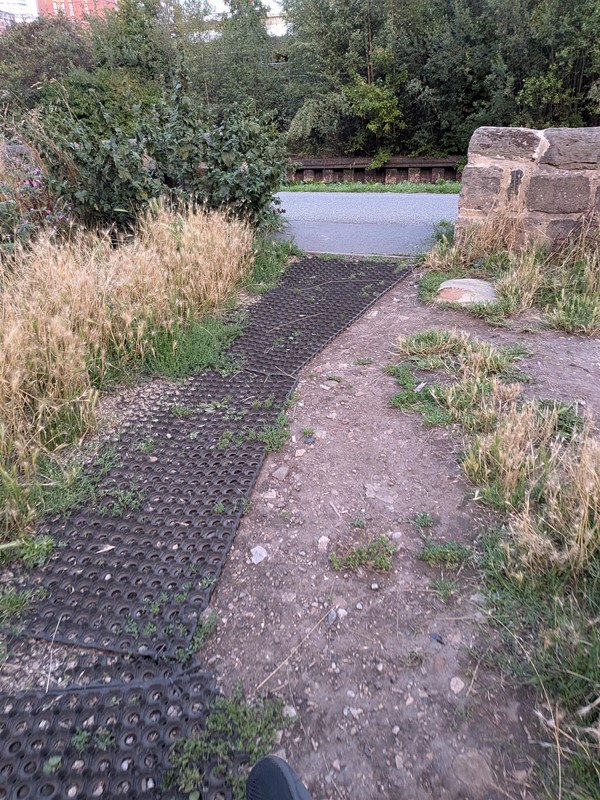 image of uneven path in park