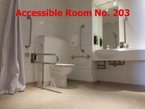 Accessible Room 203