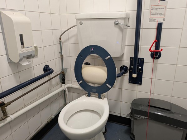 Image of accessible toilet
