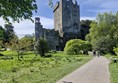 Image of Blarney Castle