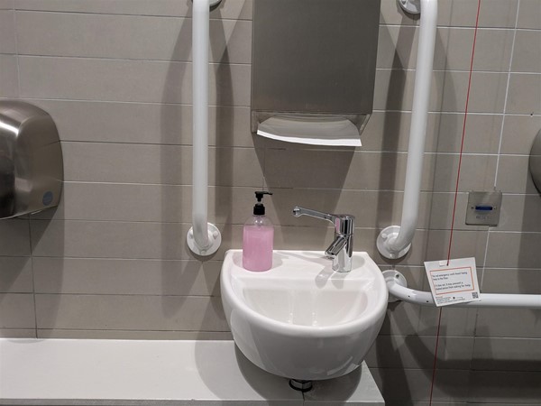Image of sink in accessible toilet