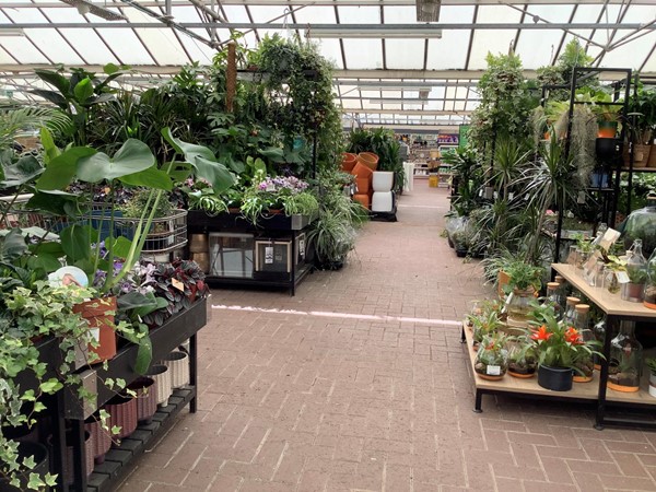 Picture of Dobbies Garden Centre Aylesbury