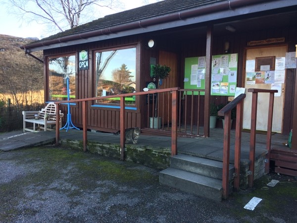 Acharacle tea room and village cat.