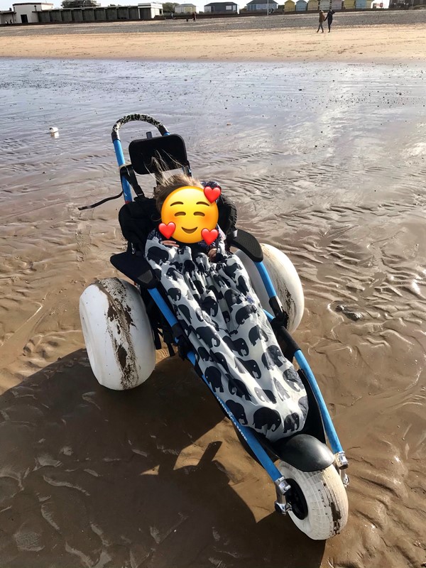 Picture of Fleetwood Beach Wheelchairs, Fleetwood