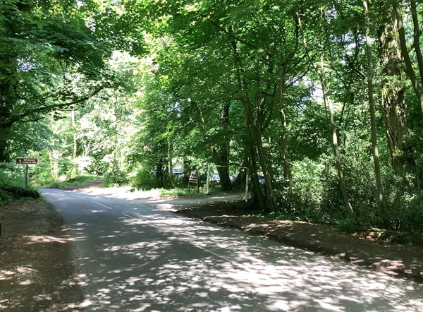 Picture of a road