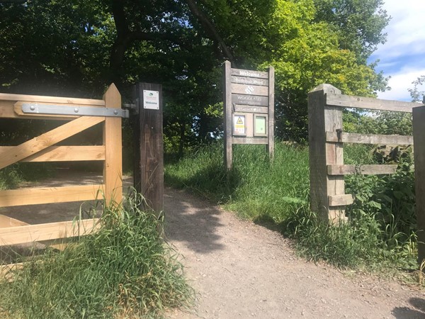Image of the entrance to the walk around Backmuir Woods.
