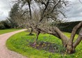 Spring display
