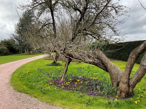 Spring display