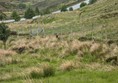 Image of a scenic valley with river and fence