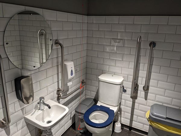 Inside of the accessible toilet with sink, mirror, soap dispenser, red emergency cord with grab rails either side, bin, toilet and another bin.