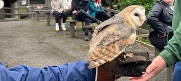 Kielder Water Bird Of Prey Centre