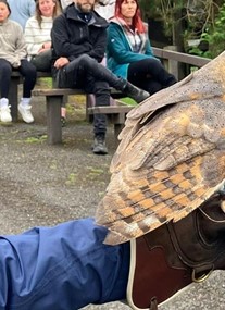 Kielder Water Bird Of Prey Centre