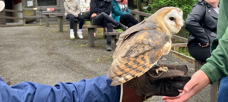 Kielder Water Bird Of Prey Centre