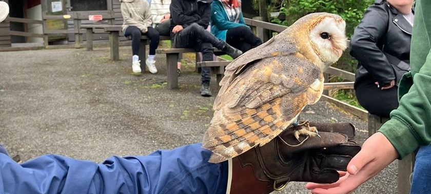 Kielder Water Bird Of Prey Centre