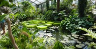 Kew Royal Botanic Gardens