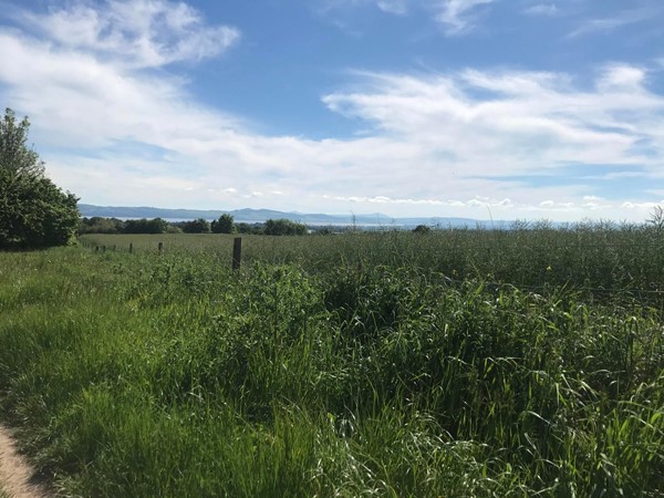 Image of the scenery near the end of our walk.