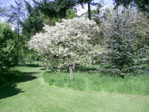 Picture of Thorp Perrow