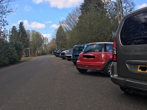 Image of where we parked the car, all cars are lined up side by side at the right-hand side of the image.