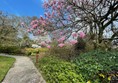 Another image of the gardens
