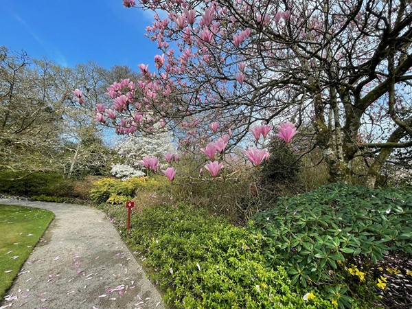 Another image of the gardens