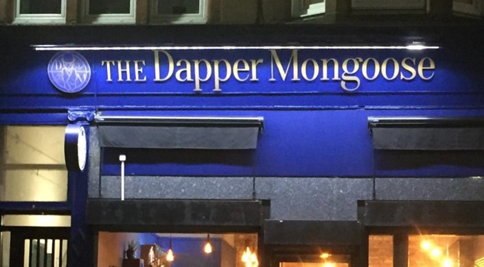 The Dapper Mongoose