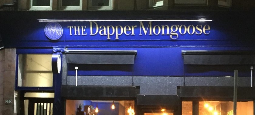 The Dapper Mongoose