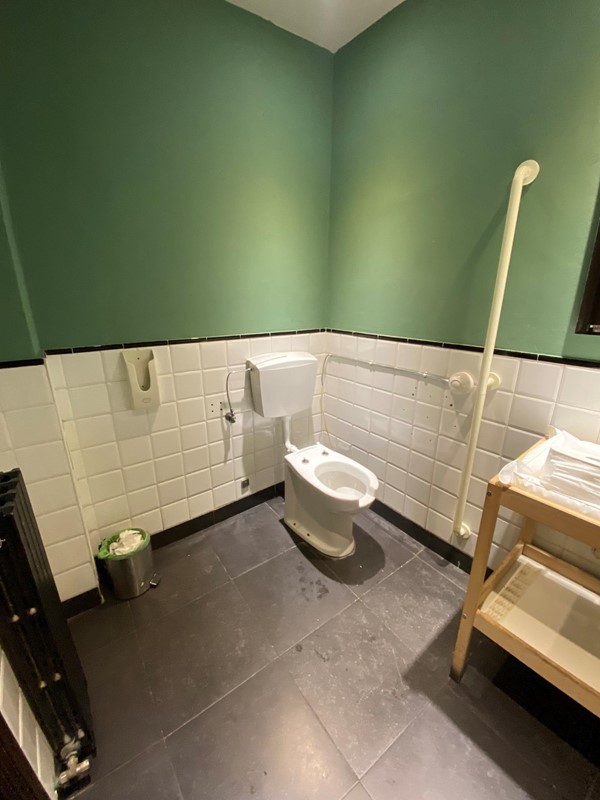 Image of the accessible toilet.