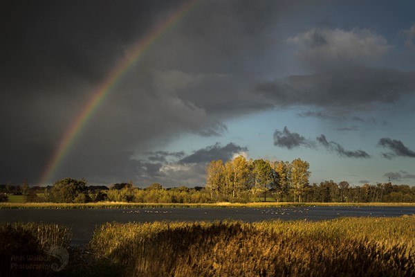 Big Waters nature reserve access