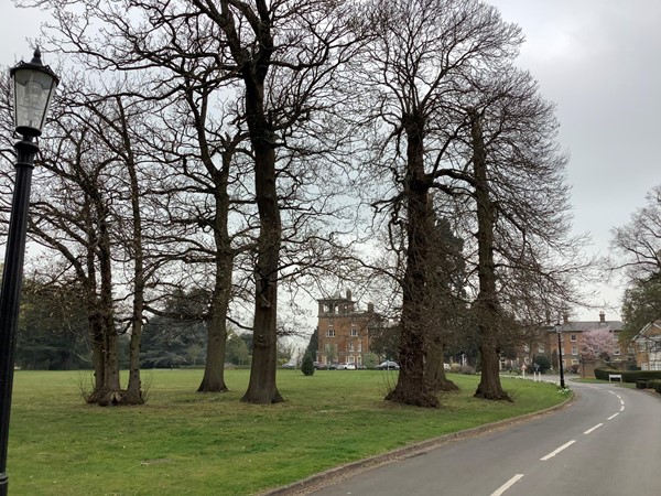 Picture of Oatlands Park Hotel, Weybridge