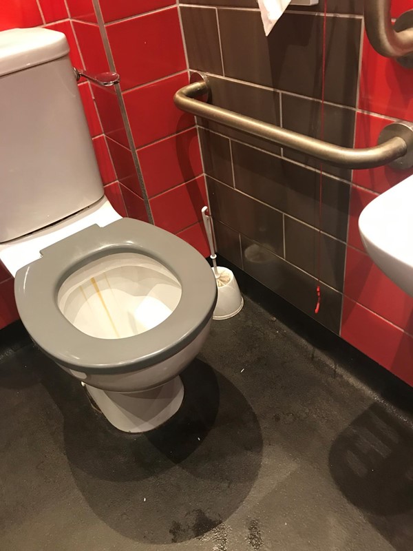 Picture of Accessible Toilet