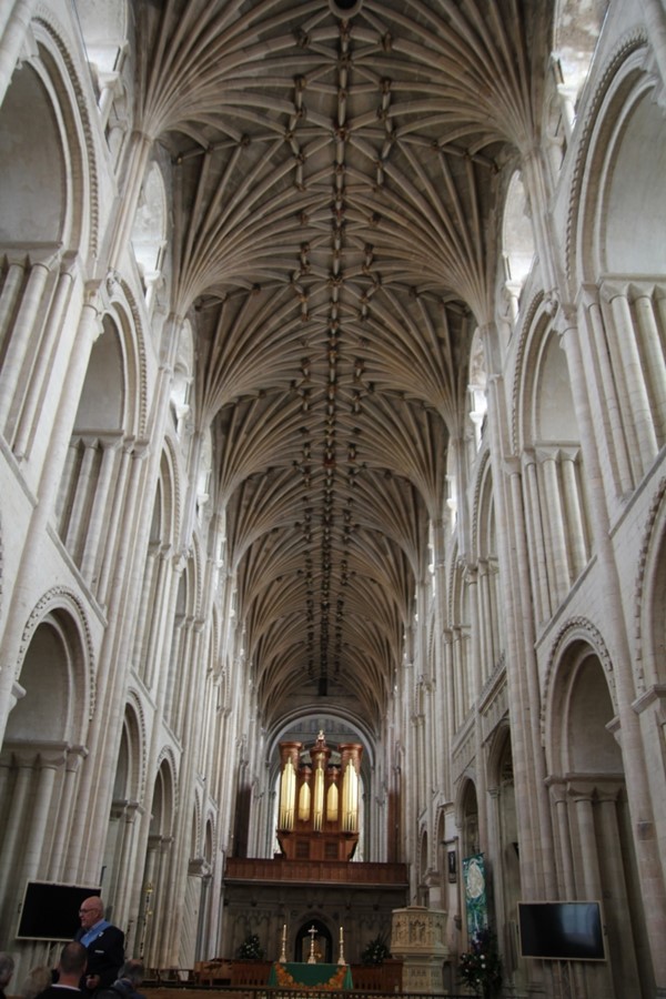 Vaulting in cathedral