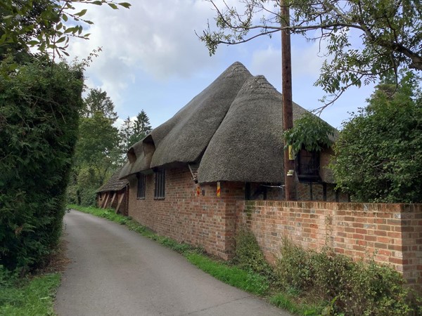 Thatched house