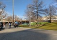 Image of paths at the park