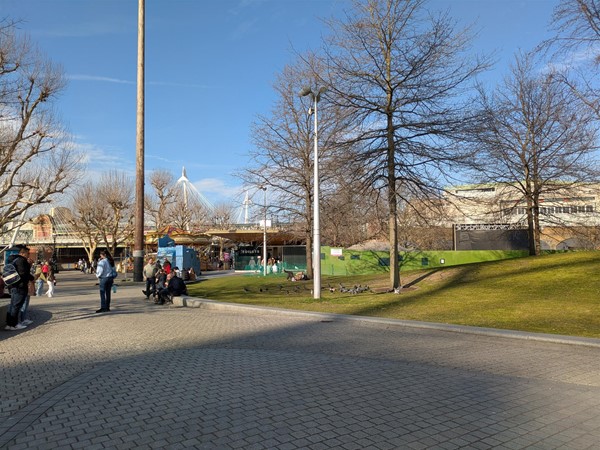 Image of paths at the park