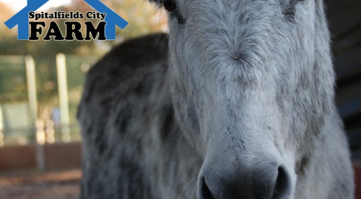 Spitalfields City Farm